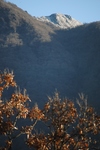 由布岳3.jpg