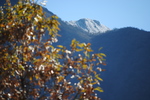 由布岳1.jpg
